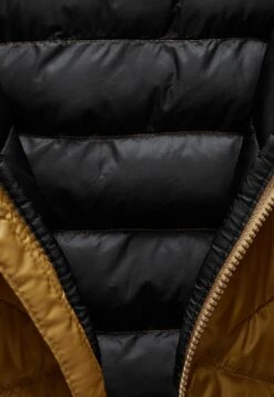 Mammut Albula Hooded - Winterjas - Cheetah -Mammut d1881322a99741c0a9aee7763f2f209b