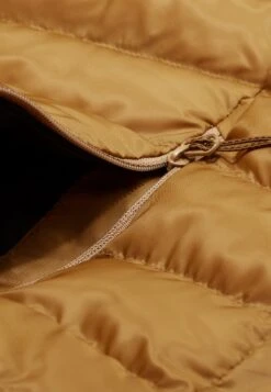 Mammut Albula Hooded - Winterjas - Cheetah -Mammut d94f55b8b5d042c2b4b7d201ad59d227