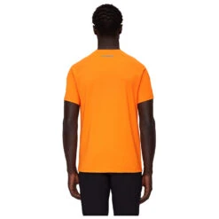 Mammut Mountain T-Shirt Hörnligrat - T-shirt -Mammut mammut mountain t shirt hoernligrat t shirt detail 2